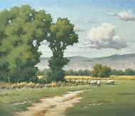 McGinty Sheep and Cottonwood